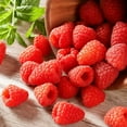 thumbnail image 3 of Fresh Raspberries, 6 oz. Container, 3 of 8