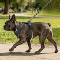 thumbnail image 3 of Dog Walking Harness and Leash Set with Reflective Vest for Outdoor and Control, 3 of 4