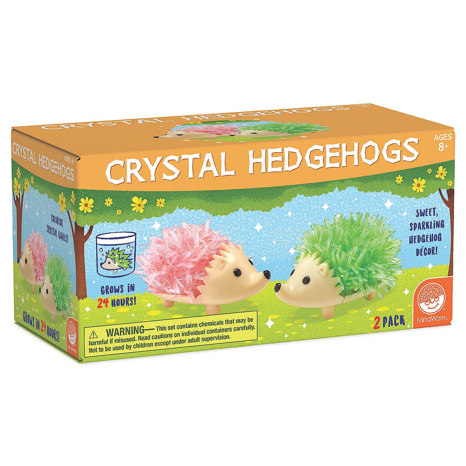 Crystals Grow in 24 Hours Cute DIY Crystal Growing Kits for Kids & Teens MindWare Crystal Growing Kits Hedgehogs Bright Colors Set of 2 Funky Mini Science Experiment in an 9pc kit 