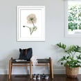 thumbnail image 3 of Art.com Iceland Poppy Portrait 1 Premium Giclee Print by Albert Koetsier, White Frame Wall Art, 32" x 40", 3 of 5