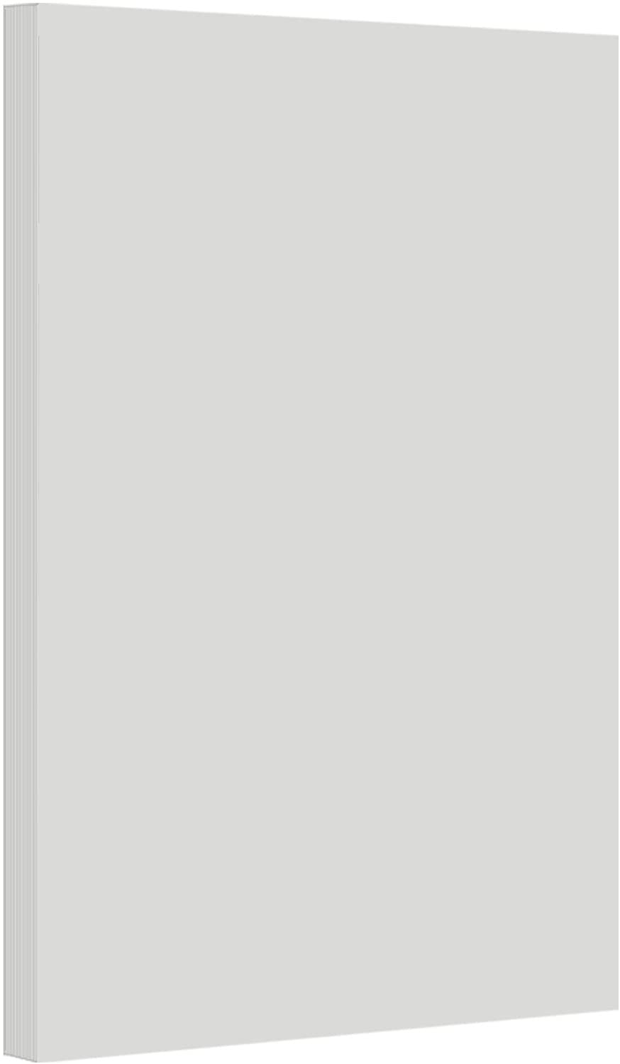 Gray Pastel Color Card Stock 67Lb Cardstock 11” x 17” Inches 50
