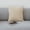 Beige, variant on Gray Velvet Sofa Pillow Cushion for Back and Waist Support with Zipper Cover 17.7x17.7 Inches