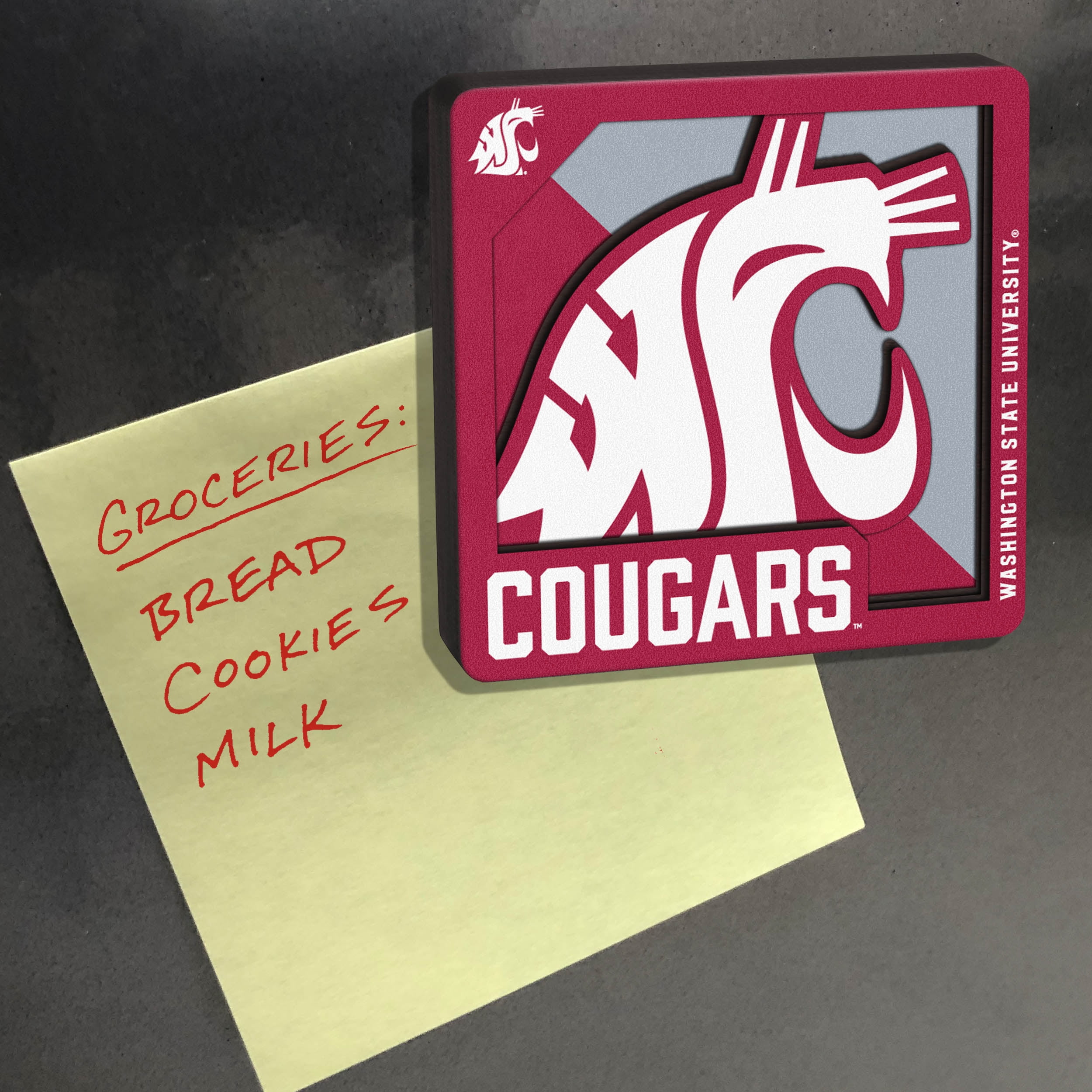 YouTheFan NCAA Washington State Cougars 3D Logo Series Magnet