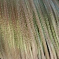 thumbnail image 3 of 8M Fly Tying Body for White Ice Wing Shrimp Fish Scale Flash Braided Material, 3 of 9