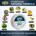Amish Origins Chickweed Salve 4 oz, Natural Salve Drawing Ointment ...