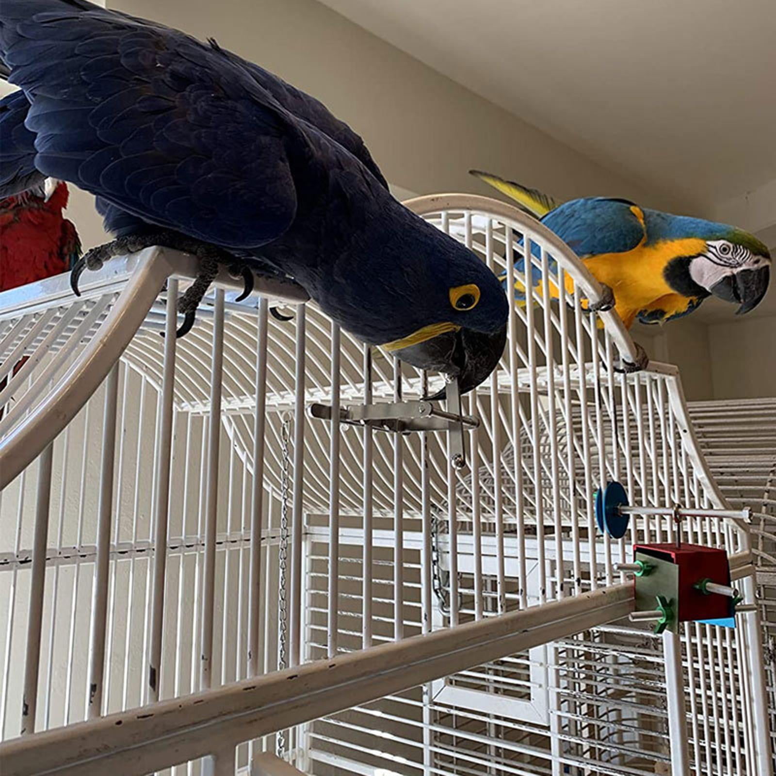 Parrot Brain Teaser Training Toy Bird Chewing Bite Toys Cage Stand Toys for Small - Large Birds, Macaw, Parakeet, Cockatoo