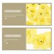 thumbnail image 5 of 50pcs Cabezas de flores de Stapelia de seda sintética artificial Home Garden Party Decor (Amarillo), 5 of 6