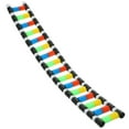 thumbnail image 4 of Dna Ladder Nucleotides Student Model 1Set Educational Toy Plastic Multi-colored 40.00X5.70X2.00CM, 4 of 8