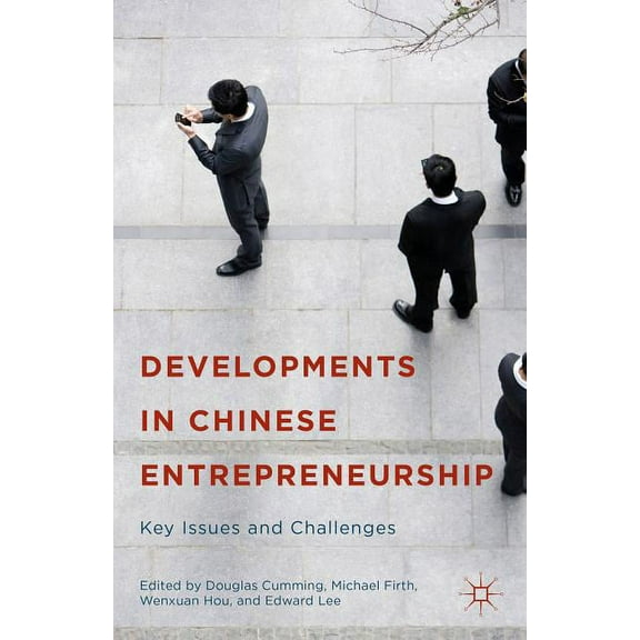 Developments in Chinese Entrepreneurship: Key Issues and Challenges, (Hardcover)