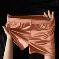 thumbnail image 2 of DGMIOCS Men's Underwear Breathable Soft Comfortable Mid Rise Briefs for Daily Wear Home Smooth Fabric Stretch Fit Lightweight Summer Spring Brown XXXL, 2 of 4