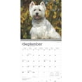 thumbnail image 4 of West Highland White Terriers 2025 12 X 24 Inch Monthly Square Wall Calendar Plastic-Free (Wall), 4 of 9