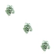 thumbnail image 1 of Plantas de terrario Tropical de Plástico Bewildely decoraciones artificiales Hoja de sandía Type1 NO1, 1 of 6