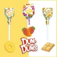 thumbnail image 6 of Dum Dum Pops, (10 Pound) Assorted Flavors Lollipops in Bulk Candy - All-Time Classic Flavors - Lollipops Bulk, Bulk Suckers, Individually Wrapped, 6 of 8