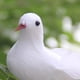 thumbnail image 2 of Paloma de Decoración Baoblaze de casas de jardín de hadas Estatua de pájaros Juguetes Cumpleaños Decoración Simulate Pigeon, 2 of 8