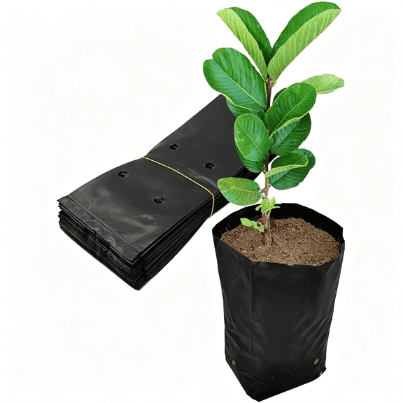 BPPEG 100 Pcs Plant Nursery Bags, Plastic Seedling Pots Container for Fruit Tree, Flower, Starting Saplings, Planting Bags Plant Grow(3.5"X6.6")