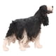 thumbnail image 2 of Figuras de Cocker Spaniel, Plásstico Cocker Spaniel Modelo Simulación Versátil para decoración, 2 of 7