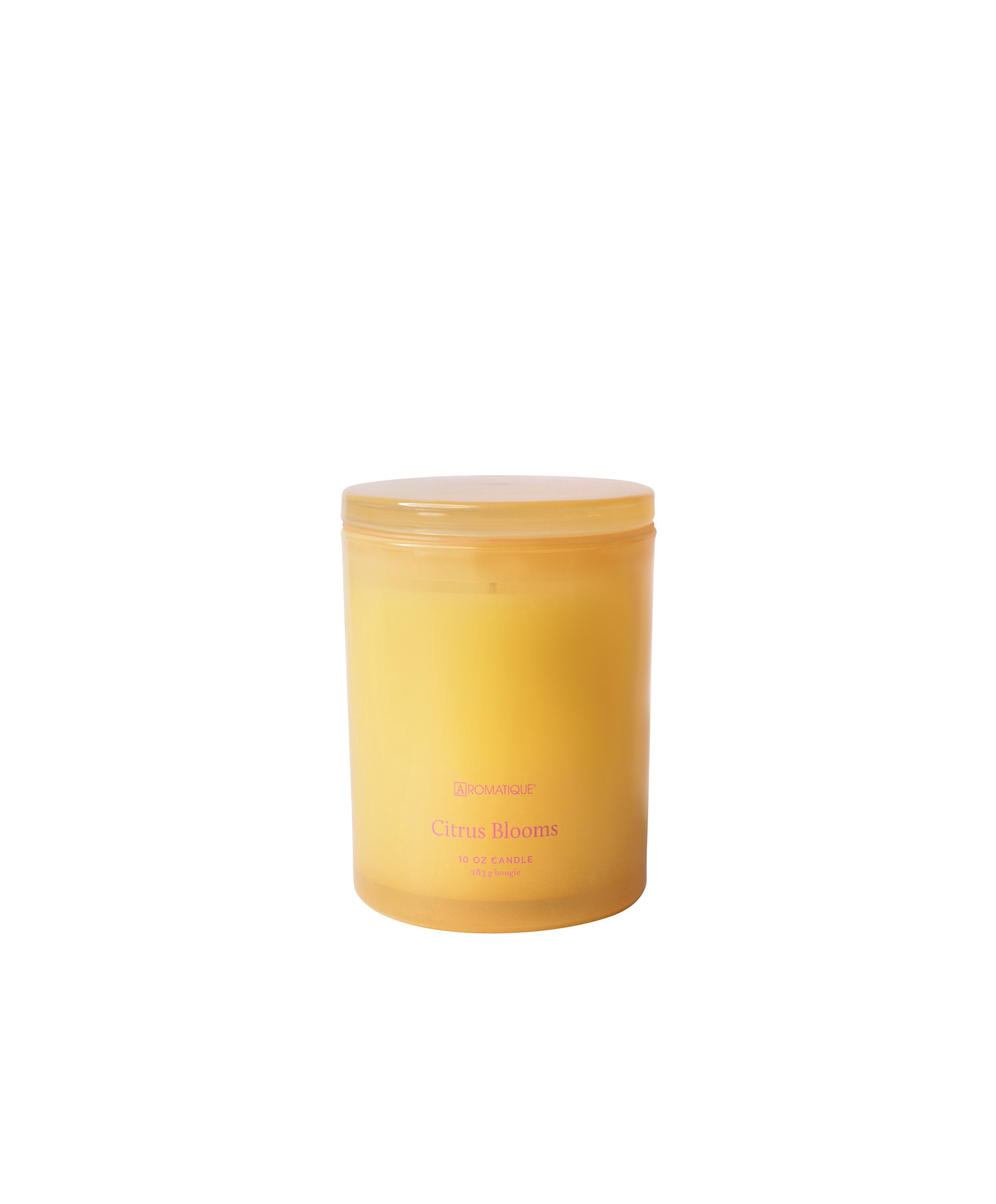 CITRUS BLOOMS Aromatique Foundry 10oz Tinted Glass Scented Jar Candle