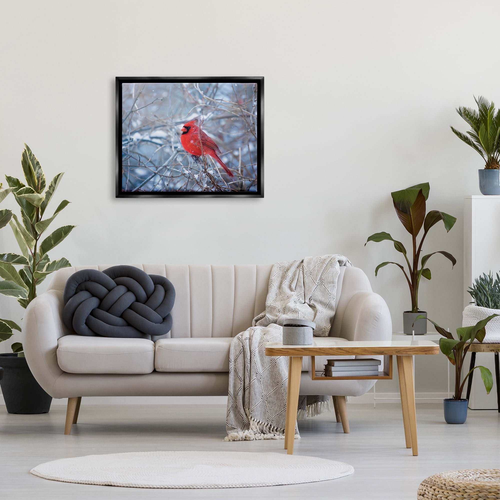 Stupell Industries Cardinal in Winter Branches Animals & Insects Photography Black Floater Framed Art Print Wall Art, 31 x 25