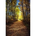 thumbnail image 2 of Forest Path In Autumn Poster Print, 2 of 2