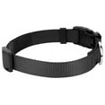 thumbnail image 7 of Country Brook Design&reg; Deluxe Nylon Dog Collar and Leash, 7 of 7