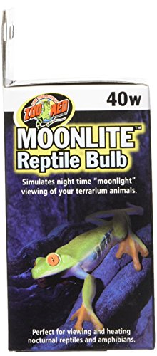 zoomed moonlight bulb