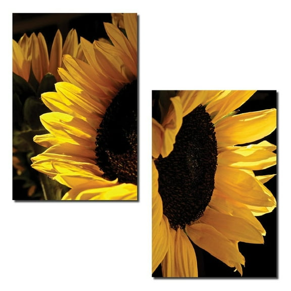 Sunlit Sunflowers | Gorgeous Blooming Yellow and Brown Sunflower Photograph Print; Two 11x14 Poster Prints