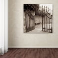 thumbnail image 3 of Trademark Fine Art "Avignon I" Canvas Art by Alan Blaustein, 3 of 3