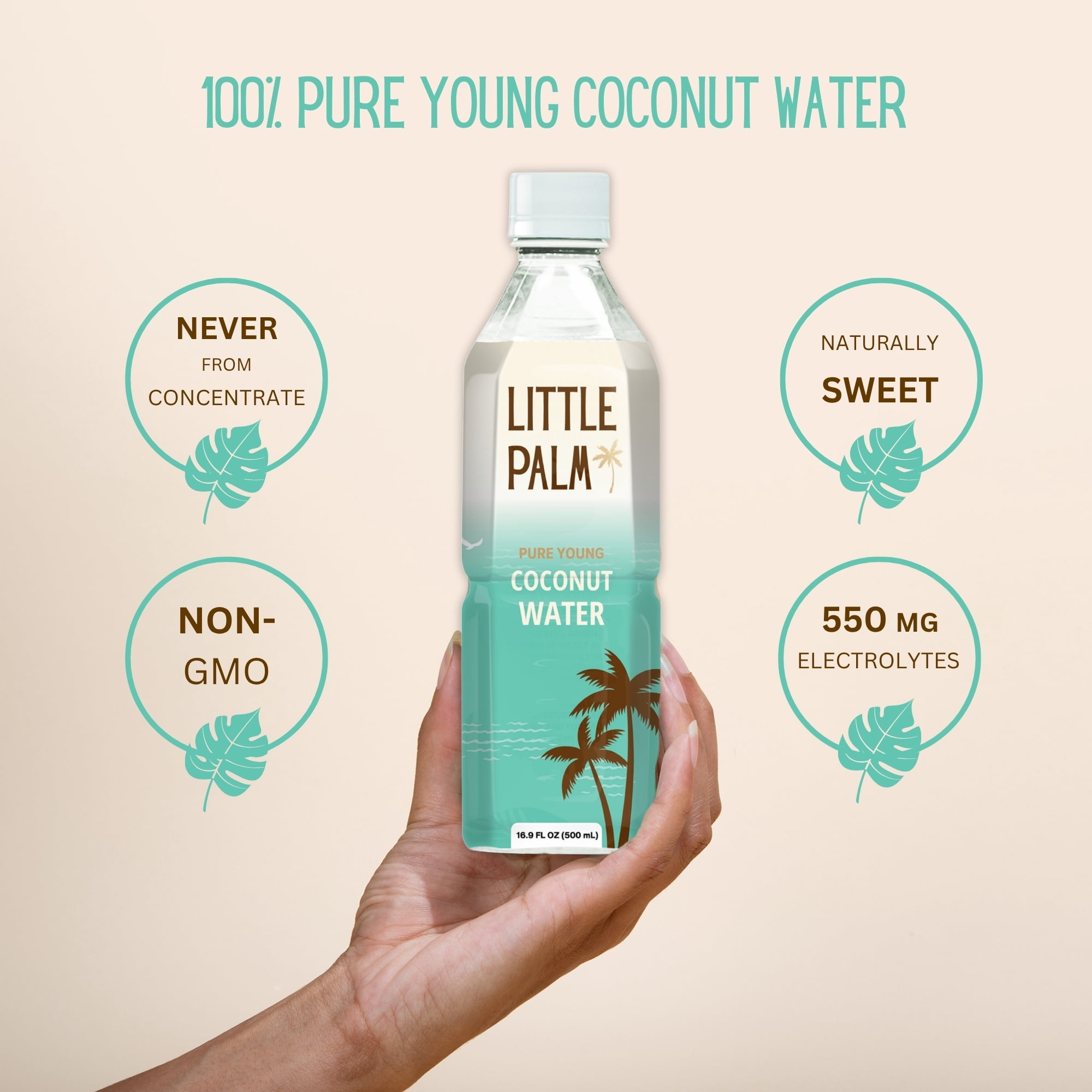 Little Palm Coconut Water, No Added Sugar, 500mL, 12-Pack