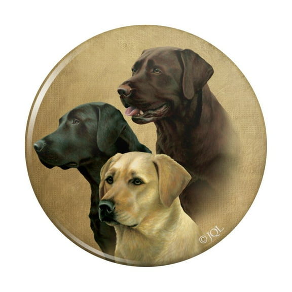 Labrador Retriever Trio Dogs Portrait Kitchen Refrigerator Locker Button Magnet