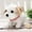 Brun, variante sur LSLJS Simulation Peluche Électrique Puppy Pet Jouet Dog Peut Marcher et Appeler Jouet Dog Cadeau pour Enfants, Électrique Puppy