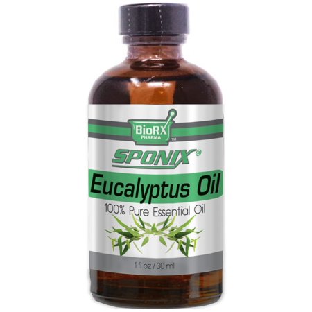 Eucalyptus Essential Oil 30 ml (1 oz) for Aromatherapy - Made with 100% Pure Therapeutic Grade Essential Oils by Sponix Made in USA (FAST SHIPPING)