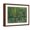 Brown Frame, variant on Art.com Trees and Undergrowth, c.1887 Stretched Canvas Print Wall Art by Vincent van Gogh, 32" x 24"