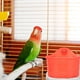 thumbnail image 3 of Caja de plástico para baño de loros, accesorio para jaula de pájaros, bañera para periquitos, mascotas y pájaros, 3 of 3