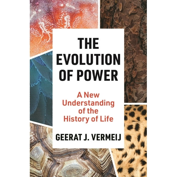 The Evolution of Power: A New Understanding of the History of Life, (Paperback)