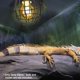 thumbnail image 3 of Cubierta de lámpara de calefacción para reptiles, pantalla de lámpara de calefacción para reptiles, protector de calefacción de reptiles de alambre de hierro, cubierta de malla de lámpara antiescaldad, 3 of 5