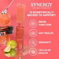 thumbnail image 4 of (3 pack) Synergy Guava Goddess Kombucha 48 fl oz, 4 of 7