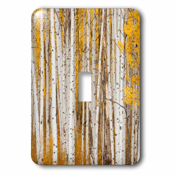 3dRose, USA, Colorado, White River National Forest, aspen., single toggle switch