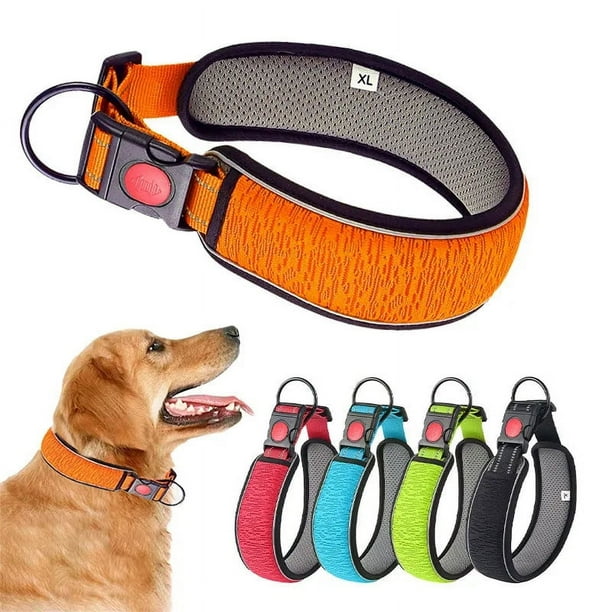 Durable dog collar hotsell