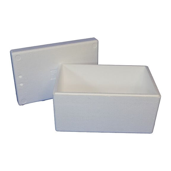 Polar Tech Industries Insulated Overnight Shipping Foam & Carton, 1-2 Day ON36C