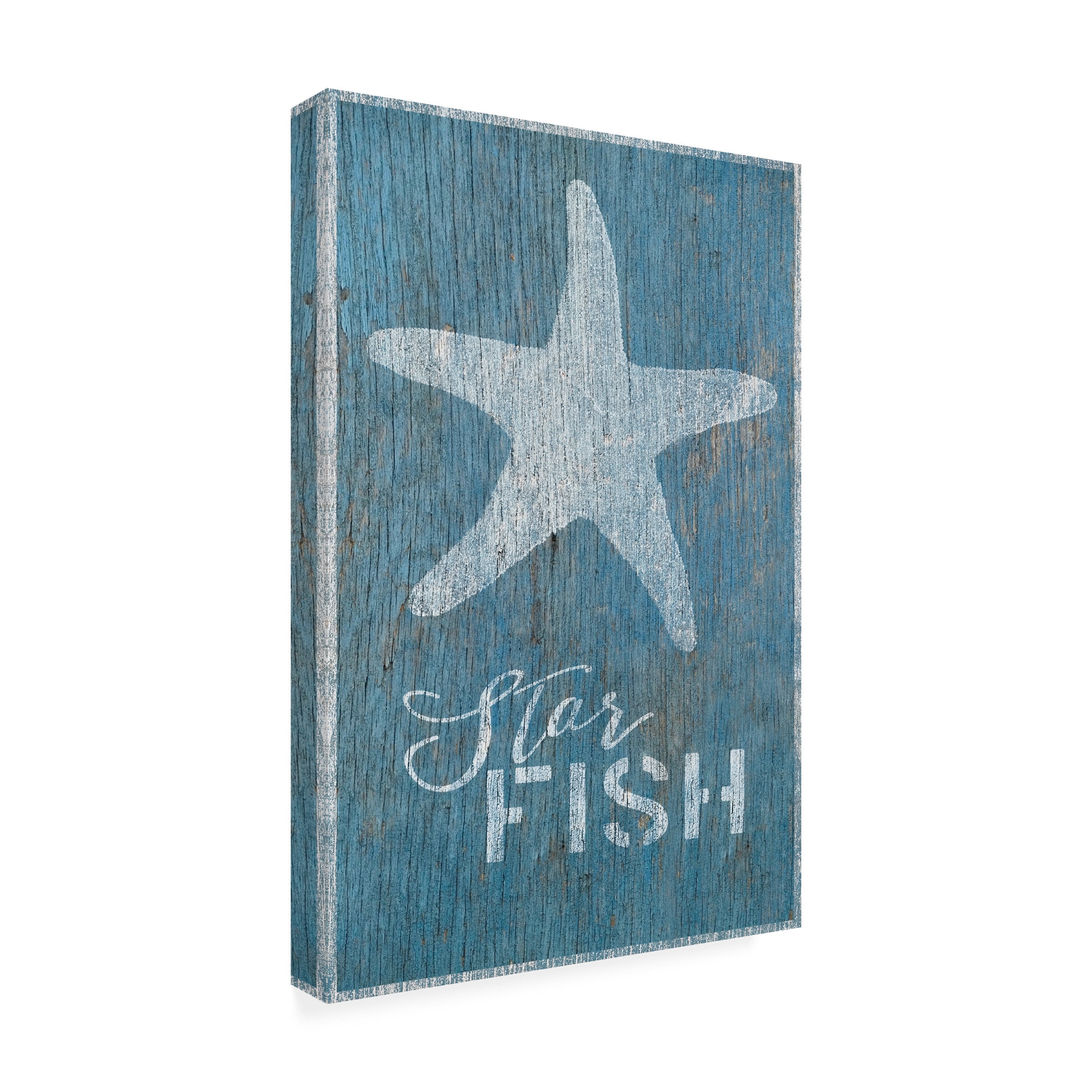Cora Niele 'Starfish on Blue Wood' Canvas Art
