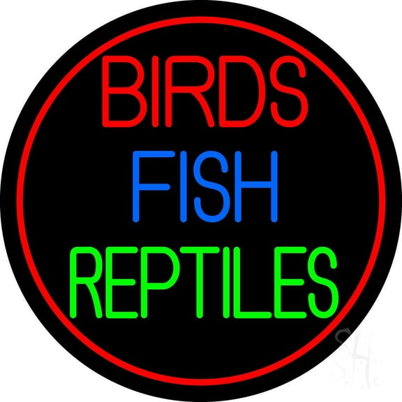 Birds Fish Reptiles 2 LED Neon Sign 26" Tall x 26" Wide - inches Black Square Cut Acrylic Backing, with Dimmer - Premium built indoor Sign for Club, Home décor, Event, Workshop, Storefront.