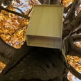 thumbnail image 4 of DOLITY , Large box Weatherproof Wood Easy and Roost Premium Outdoor Shelter to Install Two Chambers, 4 of 8