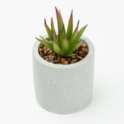 Mainstays 3-Piece Succulent Set in Gray Cement Planters