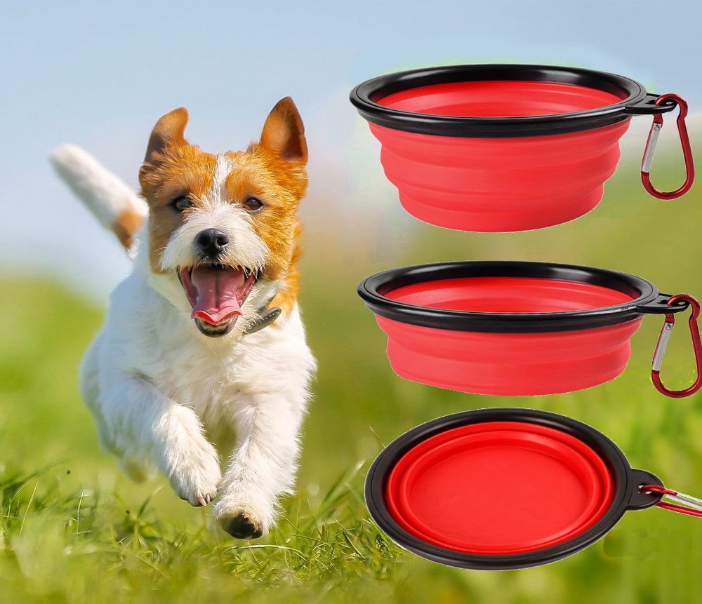 Collapsible dog bowl clearance argos