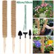 thumbnail image 1 of Poste De Musgo 2 Uds Postes De Tótem De Fibra De Coco Soporte De Plantas Palo De Musgo Apilable Estaca De Planta De Poste De Fibra De Coco Para Escalar Plantas En Macetas De Interior Enredaderas Con 1 Muyoka Hogar, 1 of 7