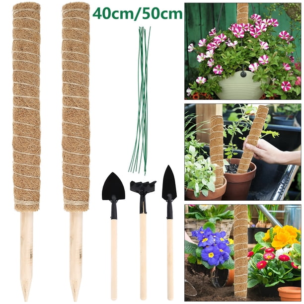 Poste De Musgo 2 Uds Postes De Tótem De Fibra De Coco Soporte De Plantas Palo De Musgo Apilable Estaca De Planta De Poste De Fibra De Coco Para Escalar Plantas En Macetas De Interior Enredaderas Con 1 Muyoka Hogar