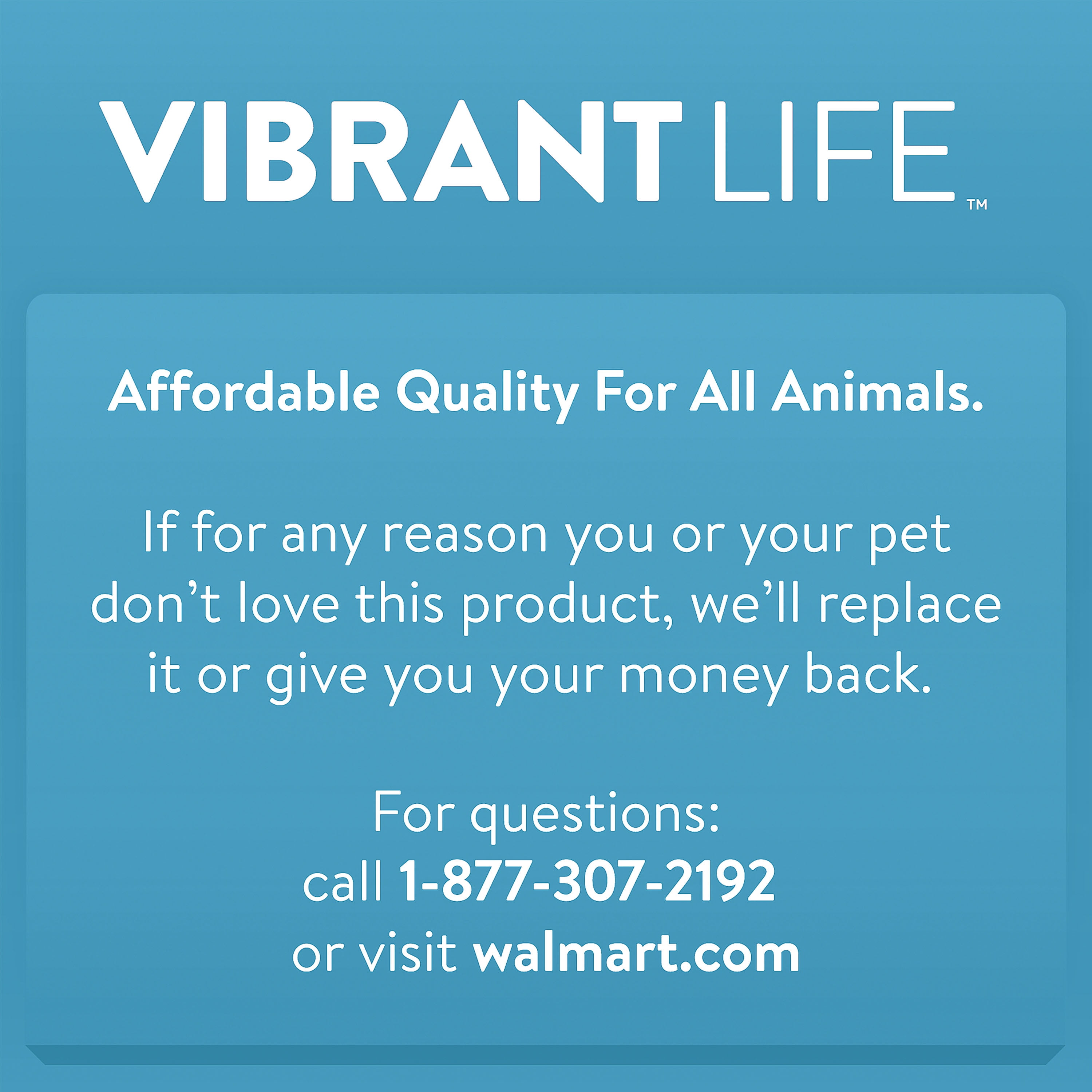 (2 pack) Vibrant Life Plush Dog Toys, Donkey