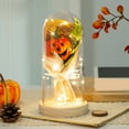 thumbnail image 7 of Halloween Decorations Nightlight,Decorative Flameless Candle Night-Light & Vintage Candle Flame Lighting Plug-in Campfire Night Light LED Nightlight Room Decorations,Gifts for Family Friends, 7 of 7