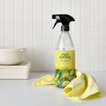 thumbnail image 4 of Lemon & Mint All Purpose Cleaner - 28 fl oz, 4 of 5