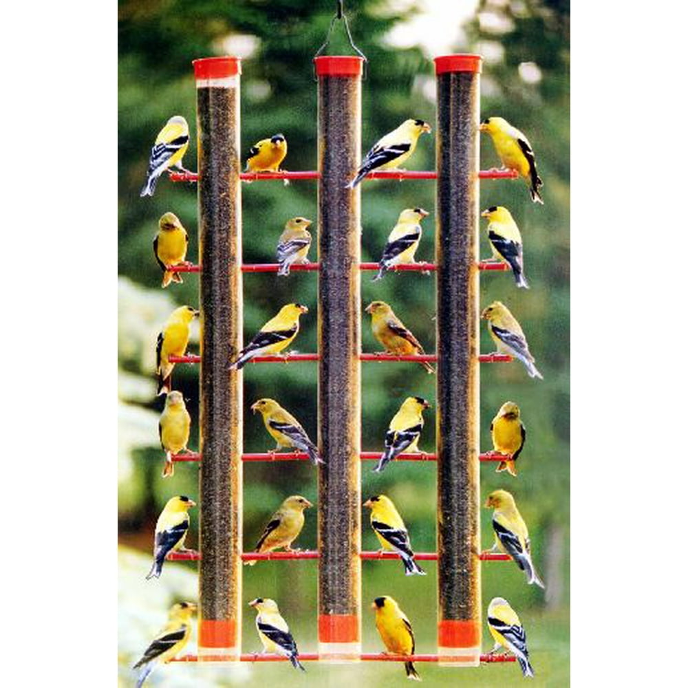 GC Songbird Essentials 3 Tube Bird Feeder Finches Favorite